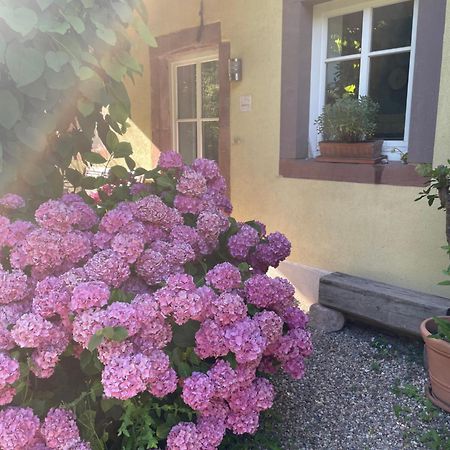 Ferienwohnung Suedliche Weinstrasse Zwischen Wald Und Reben Klingenmuenster Luaran gambar