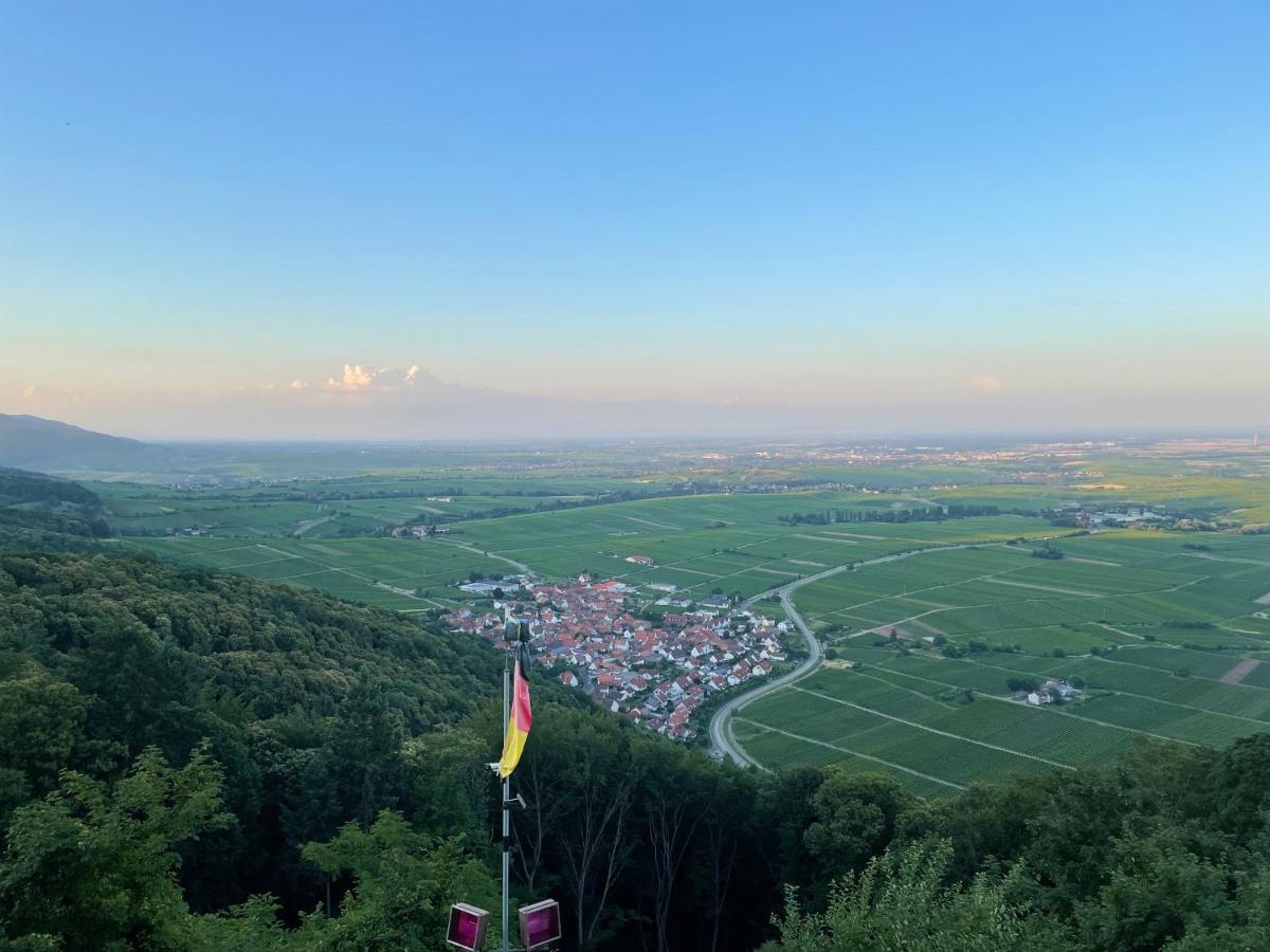Ferienwohnung Suedliche Weinstrasse Zwischen Wald Und Reben Klingenmuenster Luaran gambar