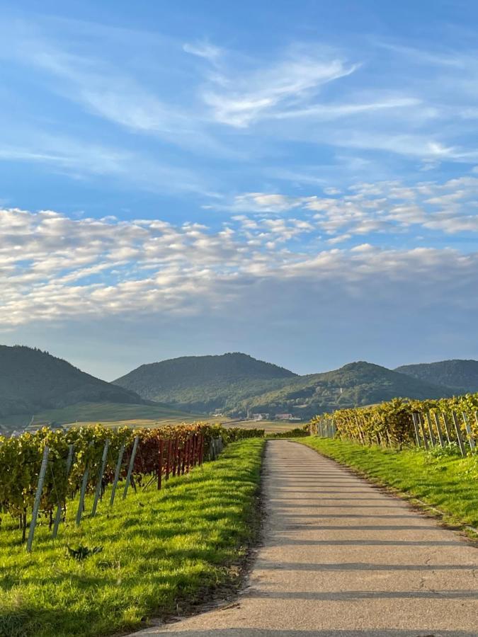 Ferienwohnung Suedliche Weinstrasse Zwischen Wald Und Reben Klingenmuenster Luaran gambar