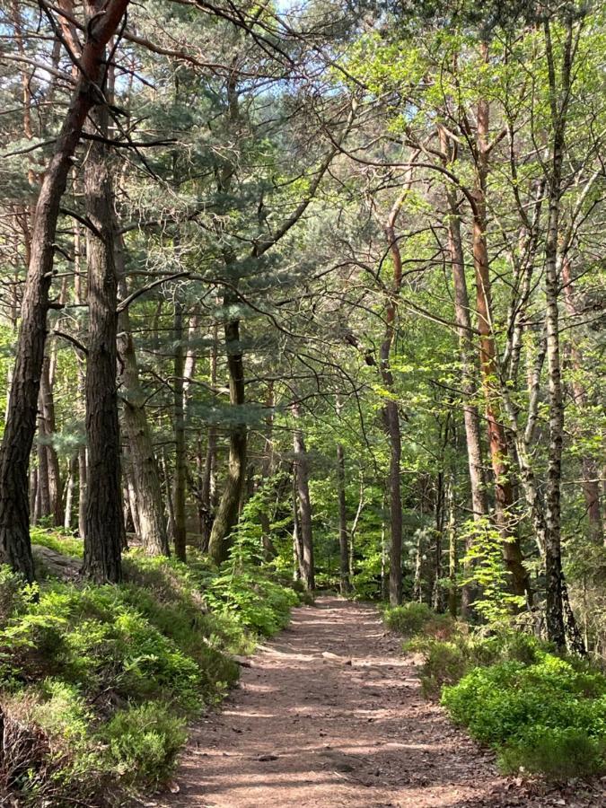 Ferienwohnung Suedliche Weinstrasse Zwischen Wald Und Reben Klingenmuenster Luaran gambar