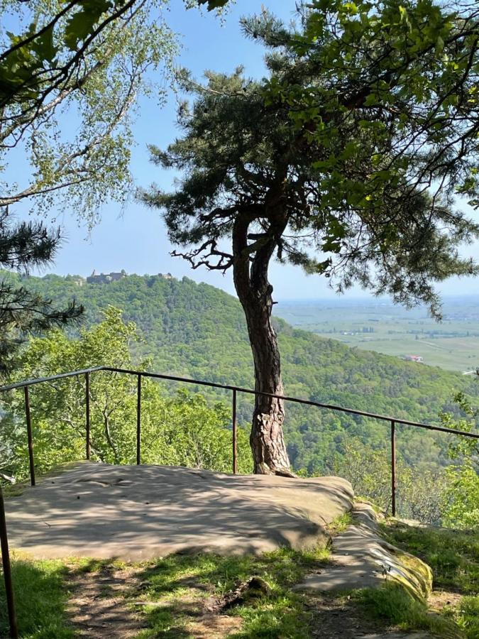 Ferienwohnung Suedliche Weinstrasse Zwischen Wald Und Reben Klingenmuenster Luaran gambar