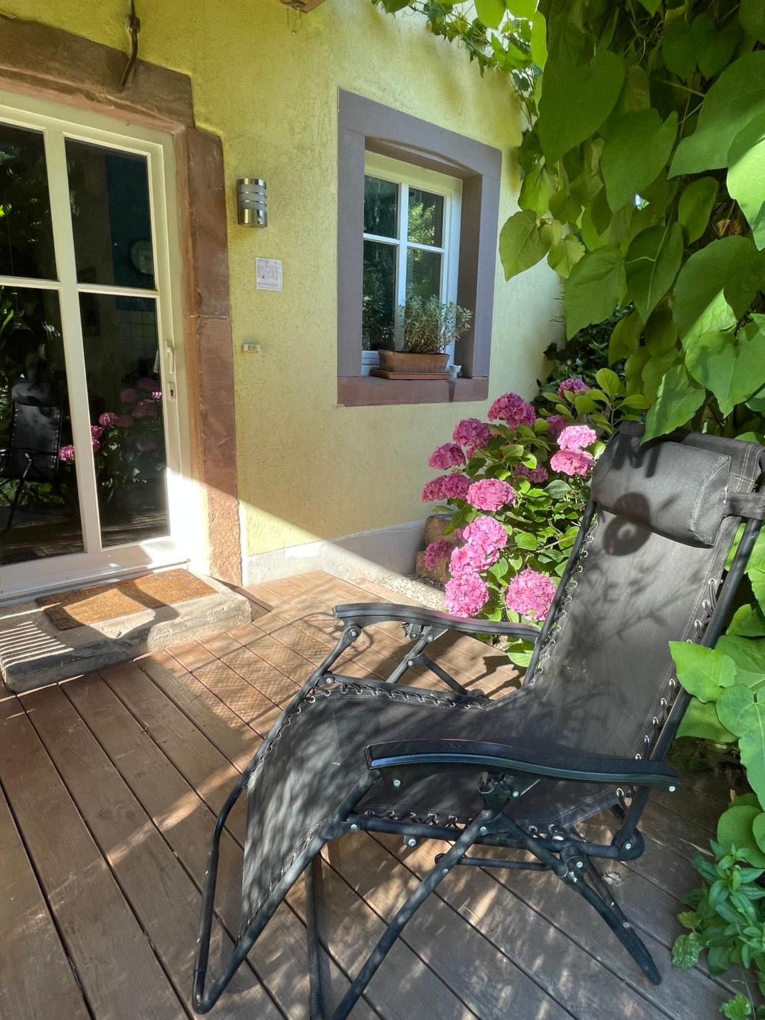 Ferienwohnung Suedliche Weinstrasse Zwischen Wald Und Reben Klingenmuenster Luaran gambar
